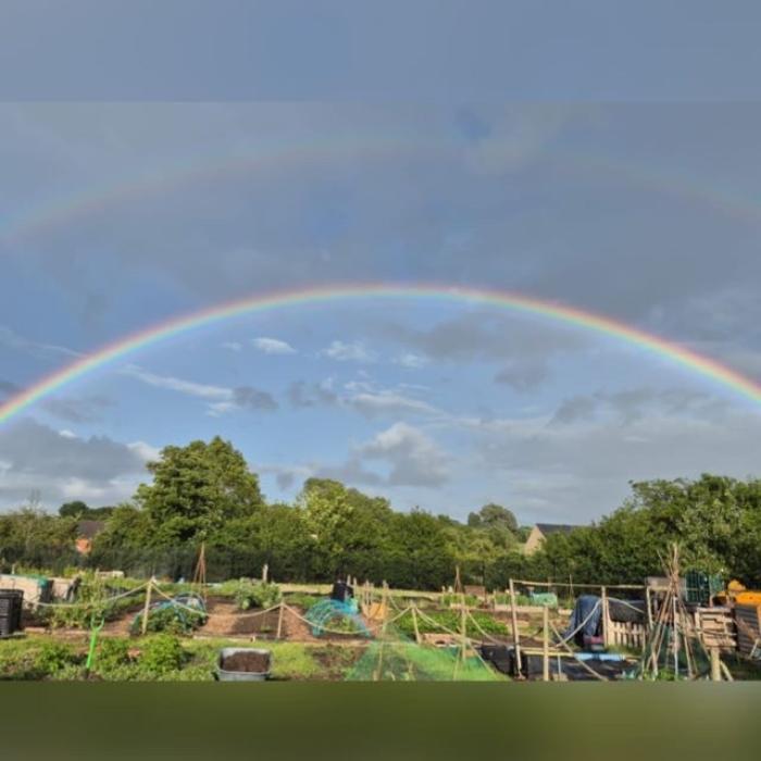 A rainbow pictured above an allotment