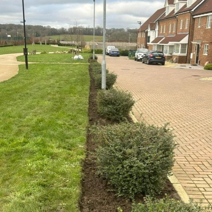 A path and neatly manicured lawn and border at a housing estate