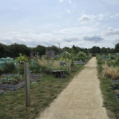 A view of allotments on a residential development