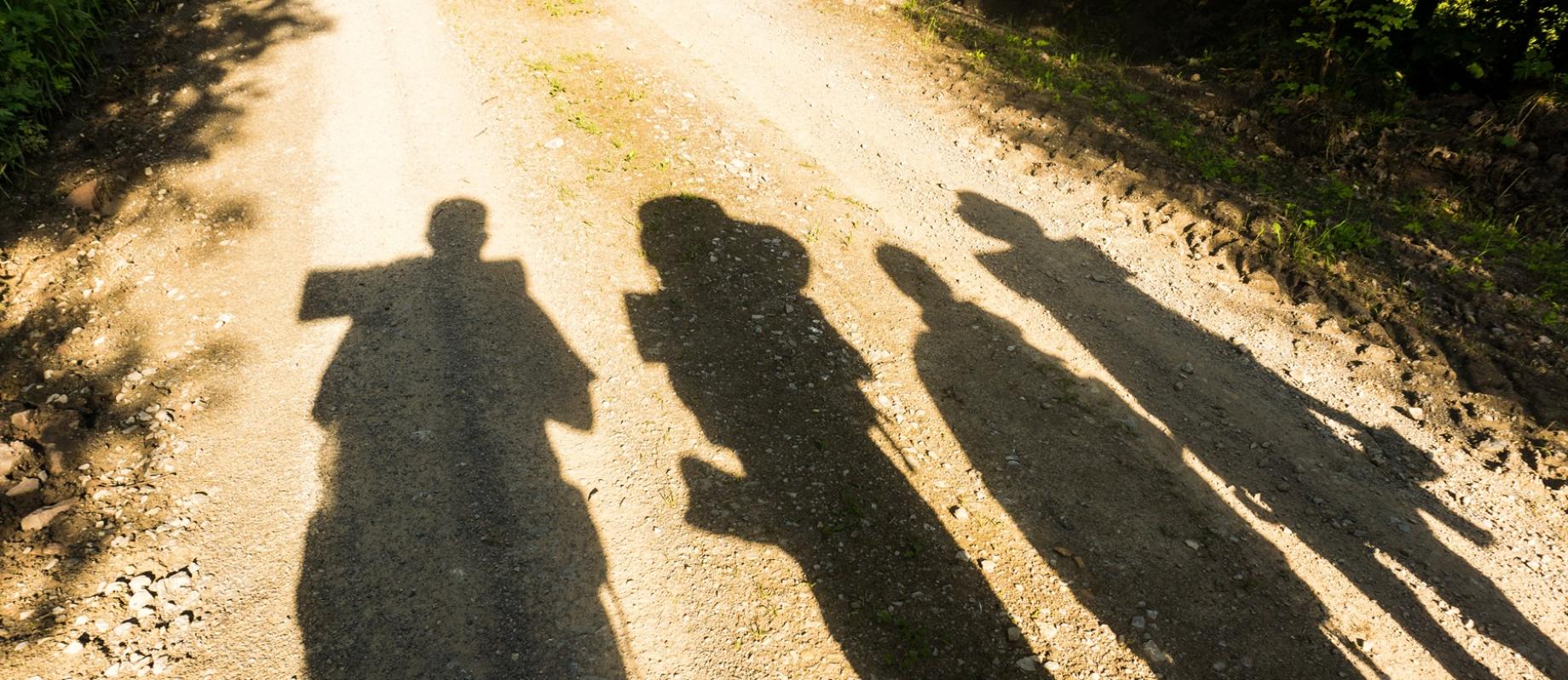A group of walkers shown in shadow on the ground