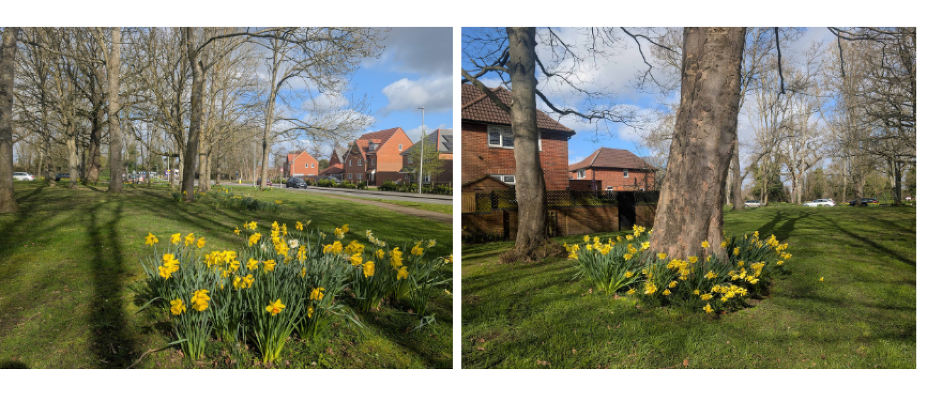 Springtime